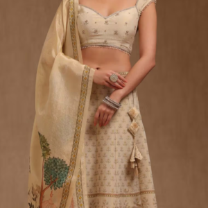 Lehenga (Indian Traditional Dress